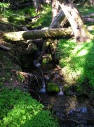 6.24-25.06 Memaloose Lake 126 